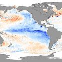 Anomálie povrchové teploty oceánů při podmínkách La Niña v listopadu 2007. V této fází tlačí pasáty více teplé vody k Asii (oranžová barva). U západního pobřeží Severní a Jižní Ameriky se zvýrazňuje vzestup studené vody z větších hloubek oceánu k hladině (modrá barva)